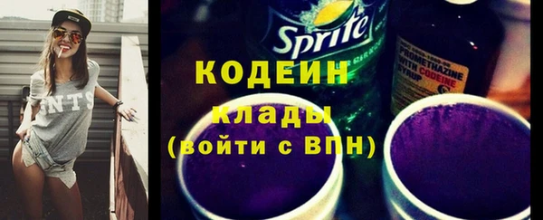 индика Беломорск