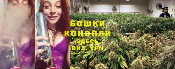 индика Беломорск