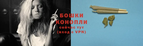 гашик Белоозёрский