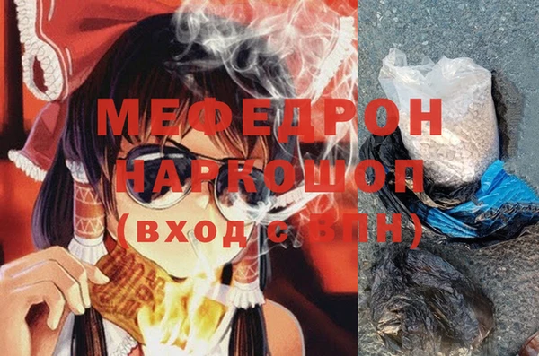 индика Беломорск