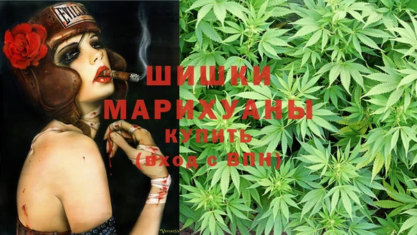 гашик Белоозёрский
