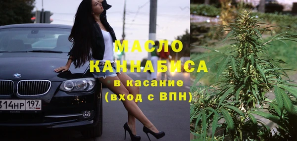 индика Беломорск
