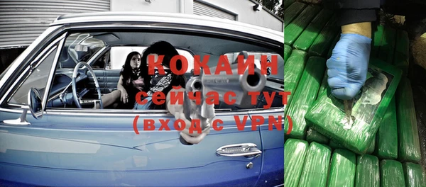 гашик Белоозёрский