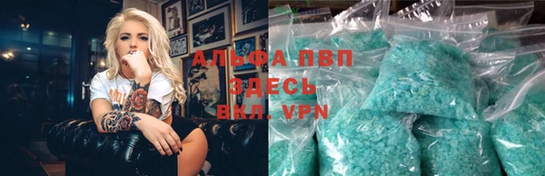 индика Беломорск