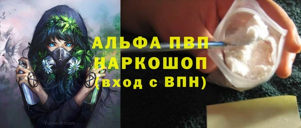 индика Беломорск