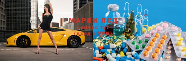 индика Беломорск